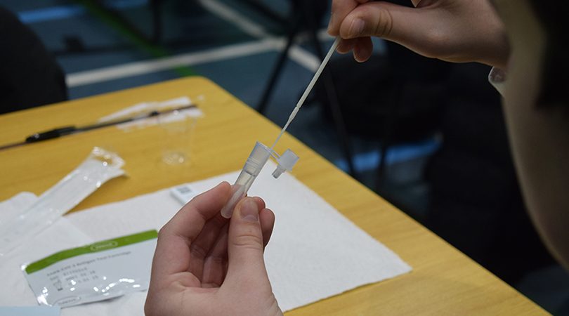 A student dips a swab into a container of liquid.
